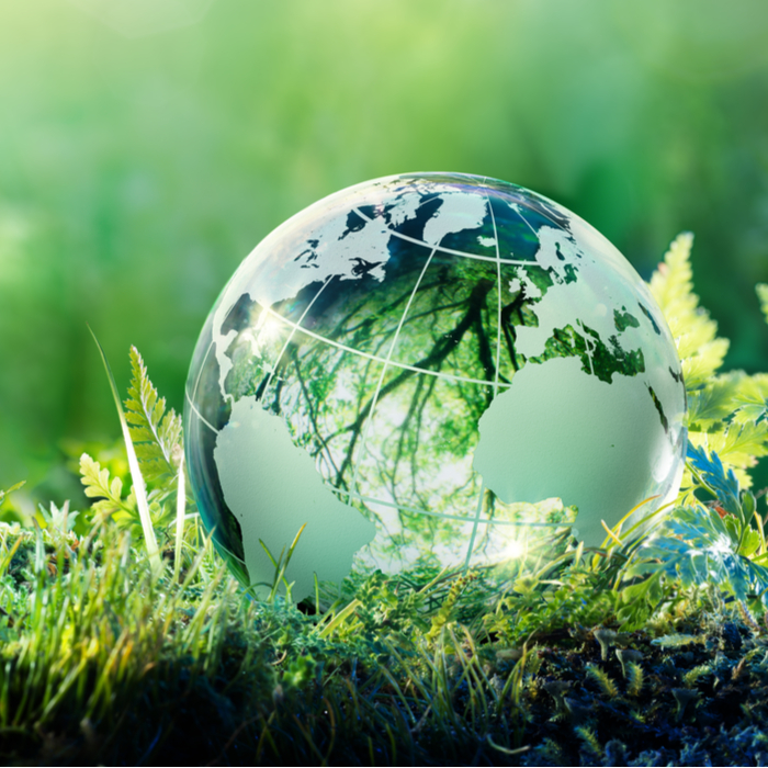 immagine rappresentativa del corso